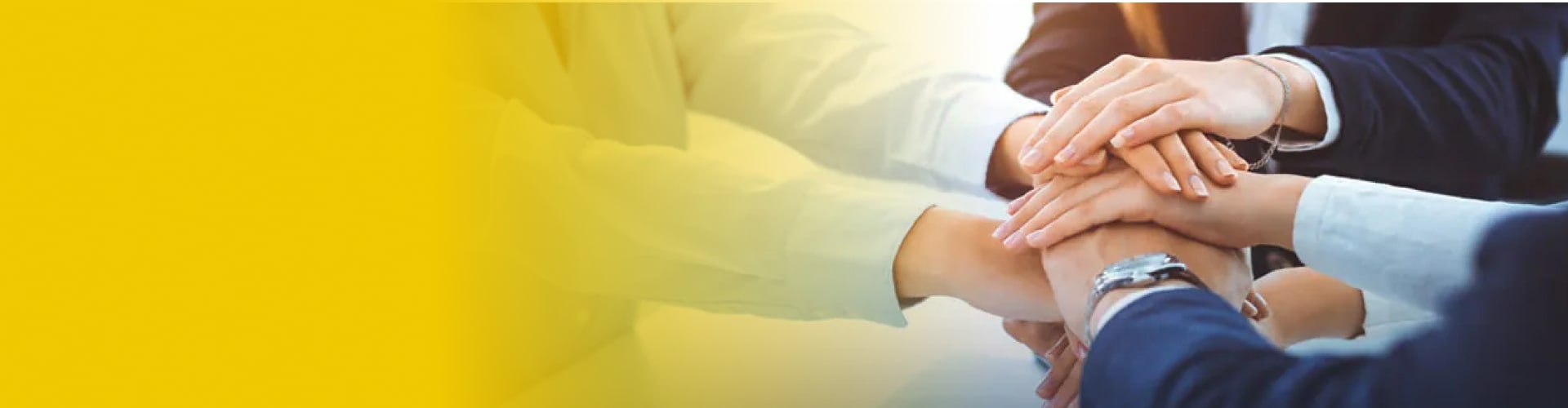 bevictor伟德智能科技丨AI+3D相机和机器视觉科技公司